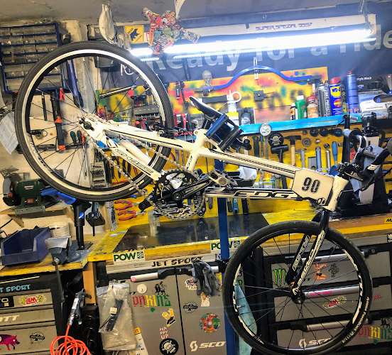 D'Amico's Custom Bike and Repair - Fahrradgeschäft
