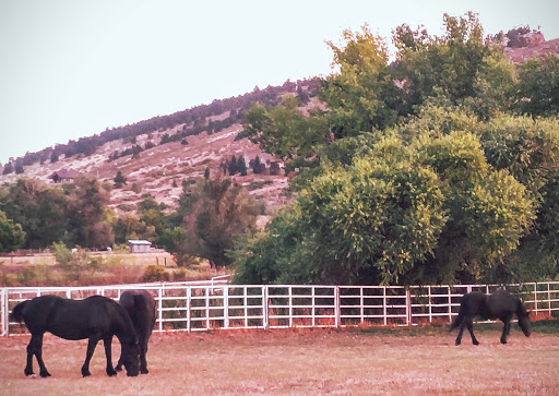 Wedding Venue «Ellis Ranch Event Center & Wedding Park», reviews and photos, 2331 Ellis Ranch Ln, Loveland, CO 80538, USA