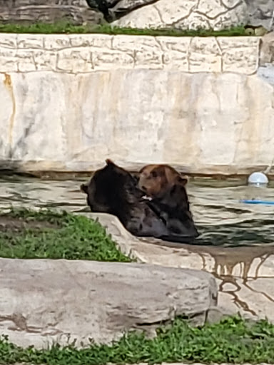 Zoo «Arctic Ring of Life», reviews and photos, 8450 W 10 Mile Rd, Royal Oak, MI 48067, USA