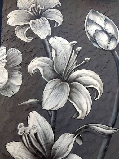 Coffee Shop «The 205 Coffee Bar», reviews and photos, 205 Columbia Ave, Holland, MI 49423, USA