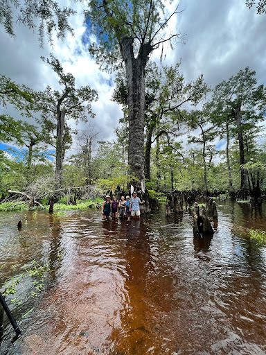 North Carolina Coastal Land Trust