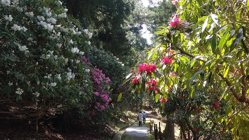 天城グリーンガーデン 静岡県伊豆市湯ケ島 観光名所 グルコミ