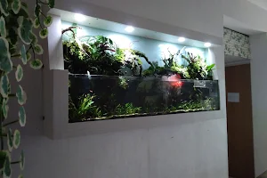 Wall Aquascape image