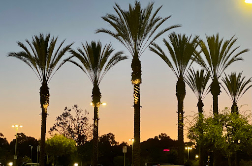 Shopping Mall «La Jolla Village Square», reviews and photos, 8657 Villa La Jolla Dr, La Jolla, CA 92037, USA