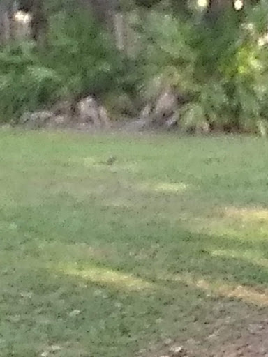 Park «Boston Hill Park», reviews and photos, 777 S Central Ave, Oviedo, FL 32765, USA