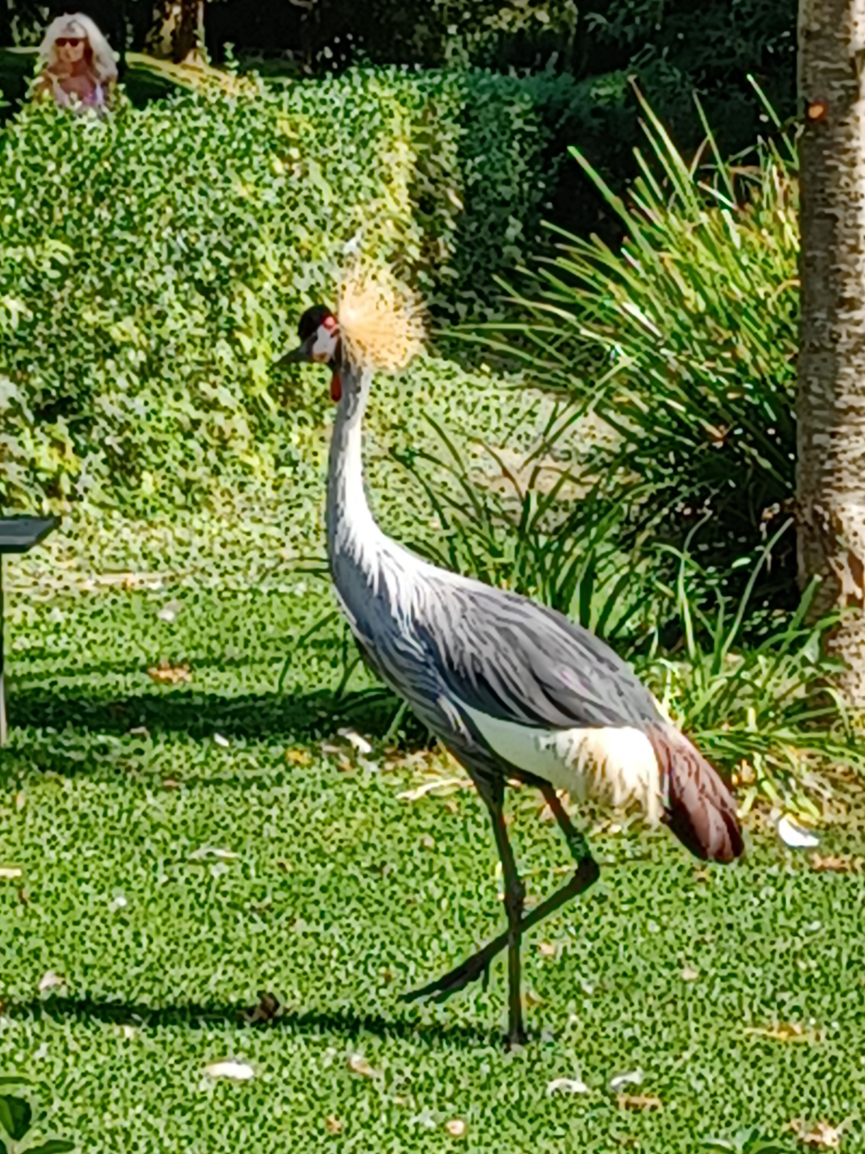 Photo n° 7 de l'avis de Pascale.e fait le 08/09/2021 à 15:53