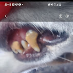 Photo n° 4 de l'avis de Leslie.u fait le 16/06/2023 à 18:51 pour Vétérinaires Chevallier Tomas Roux SELARL à Polliat