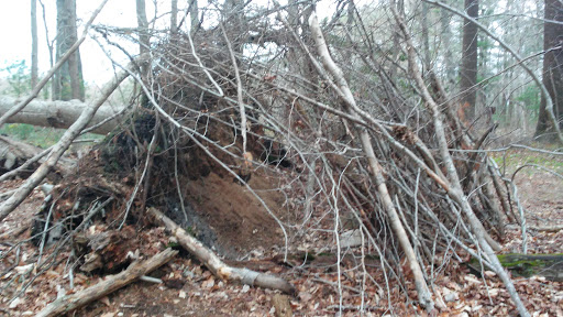 State Park «Nasketucket Bay State Reservation», reviews and photos, Brandt Island Rd,, Mattapoisett, MA 02739, USA