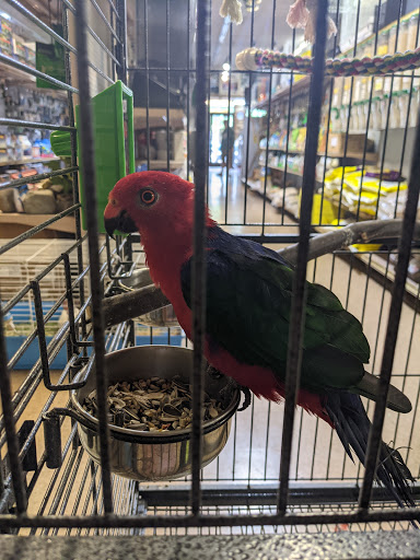 Pet Store «A to Z Pets», reviews and photos, 16010 SE Division St, Portland, OR 97236, USA