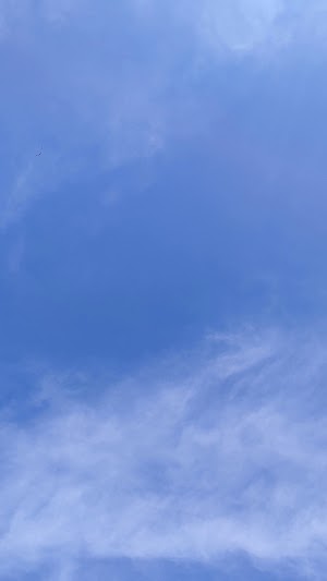 Skydive Snohomish - photo 65