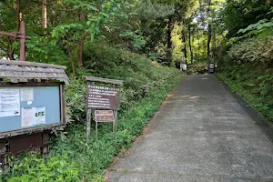 Kashinokiyama Natural Park image