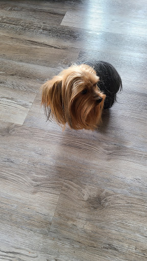 Photo of Beauty For Mutts LLC