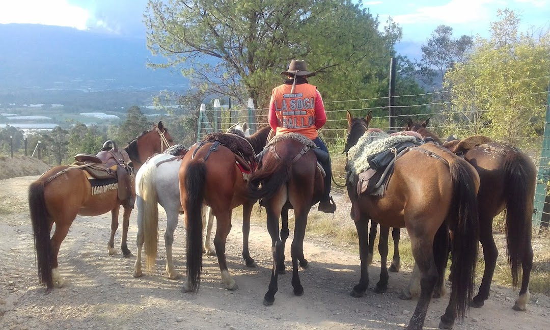 La Soga Cabalgatas