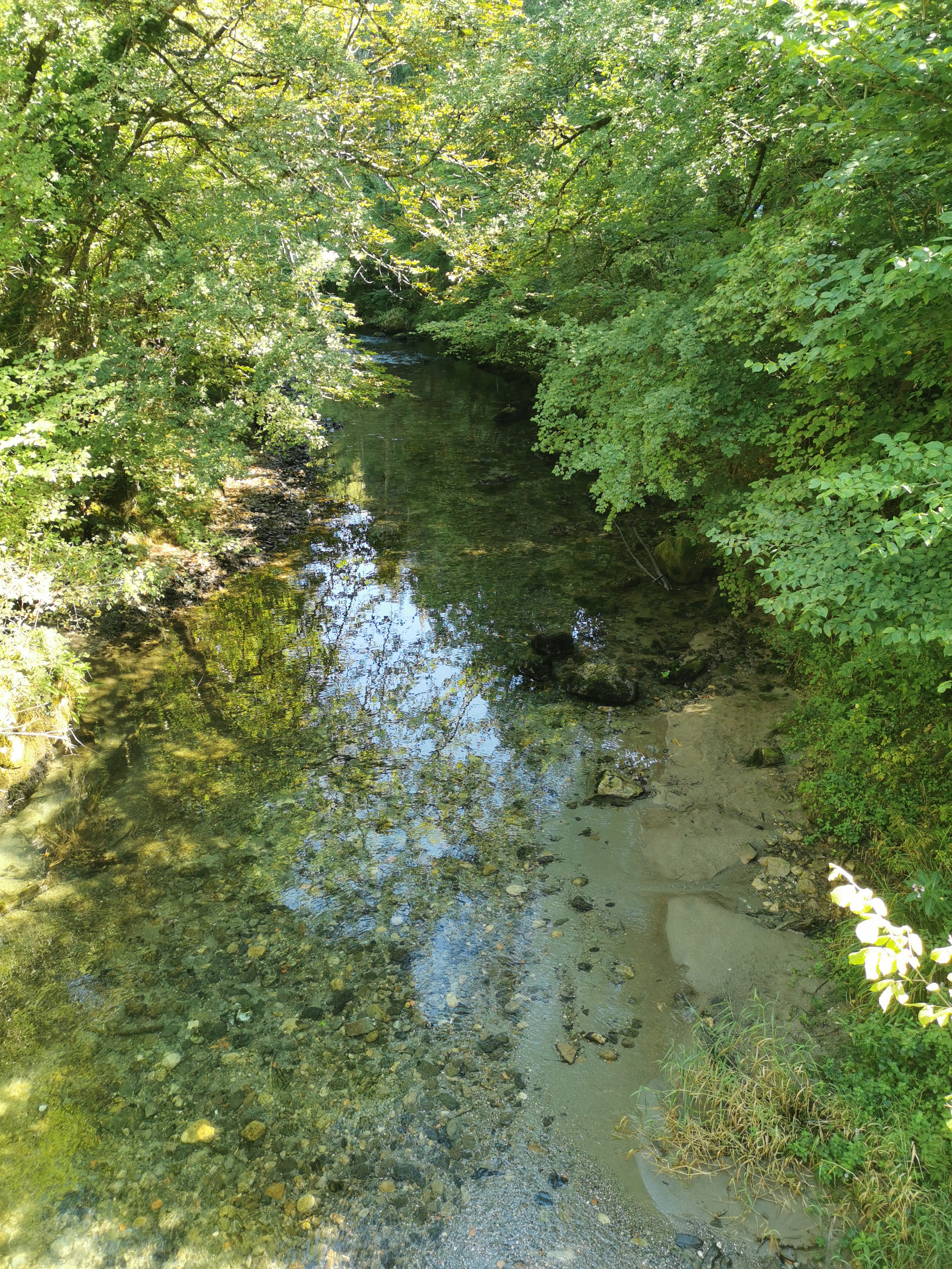 Photo n° 6 de l'avis de Chamalow. fait le 11/09/2022 à 10:38