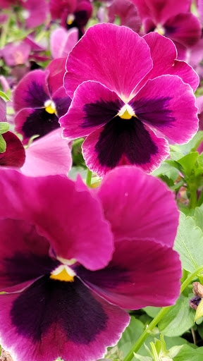 Home Improvement Store «The Home Depot», reviews and photos, 2330 Crest View Dr, Hudson, WI 54016, USA