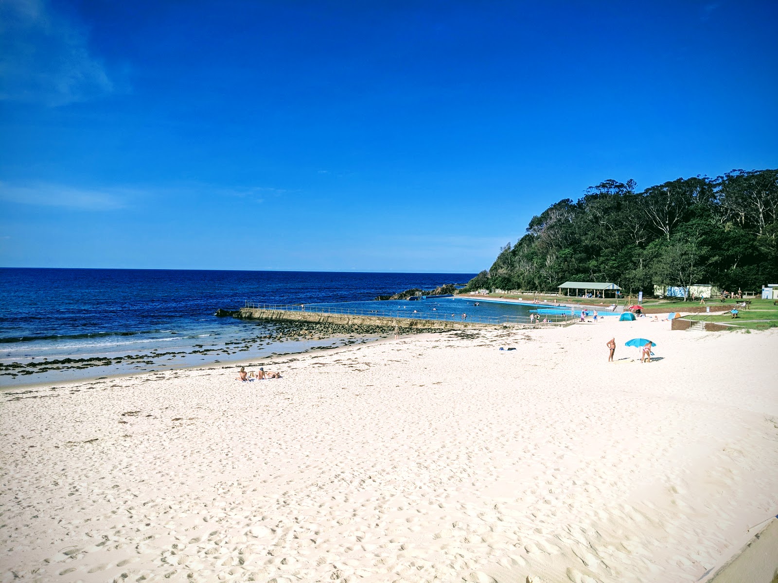Forster Beach photo #9