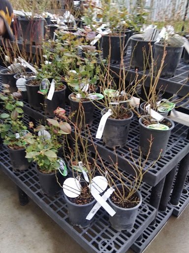 Animal Feed Store «Wilco Farm Store», reviews and photos, 2950 S Santiam Hwy, Lebanon, OR 97355, USA