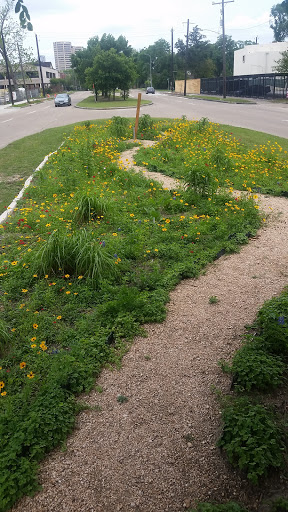 Houston Wilderness Wildflower Garden image 3