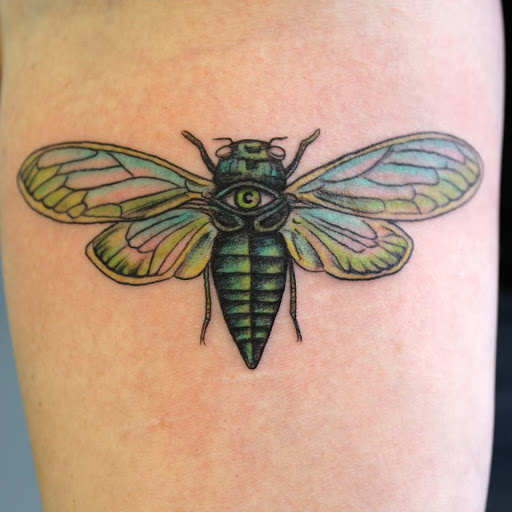 Tattoo Shop «Tiger Lotus Tattoo and Piercing», reviews and photos, 17230 S Tamiami Trail, Fort Myers, FL 33908, USA