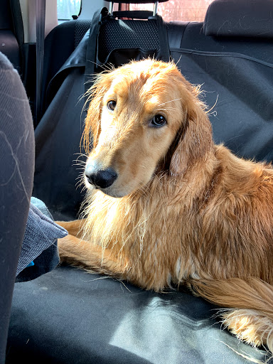 Pet Supply Store «Rucker Pet & Wild Bird», reviews and photos, 4335 Bethelview Rd, Cumming, GA 30040, USA