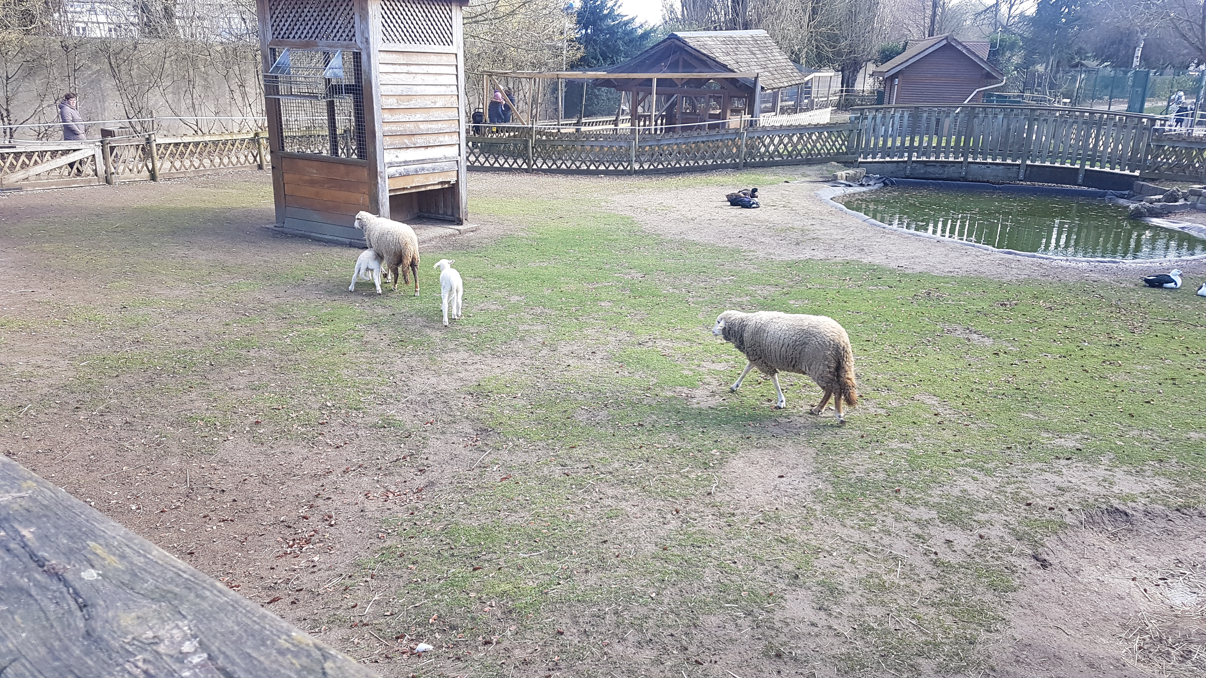 Photo n° 1 de l'avis de D.. fait le 14/03/2019 à 06:40