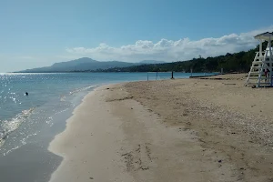 UWI Lyssons Beach image