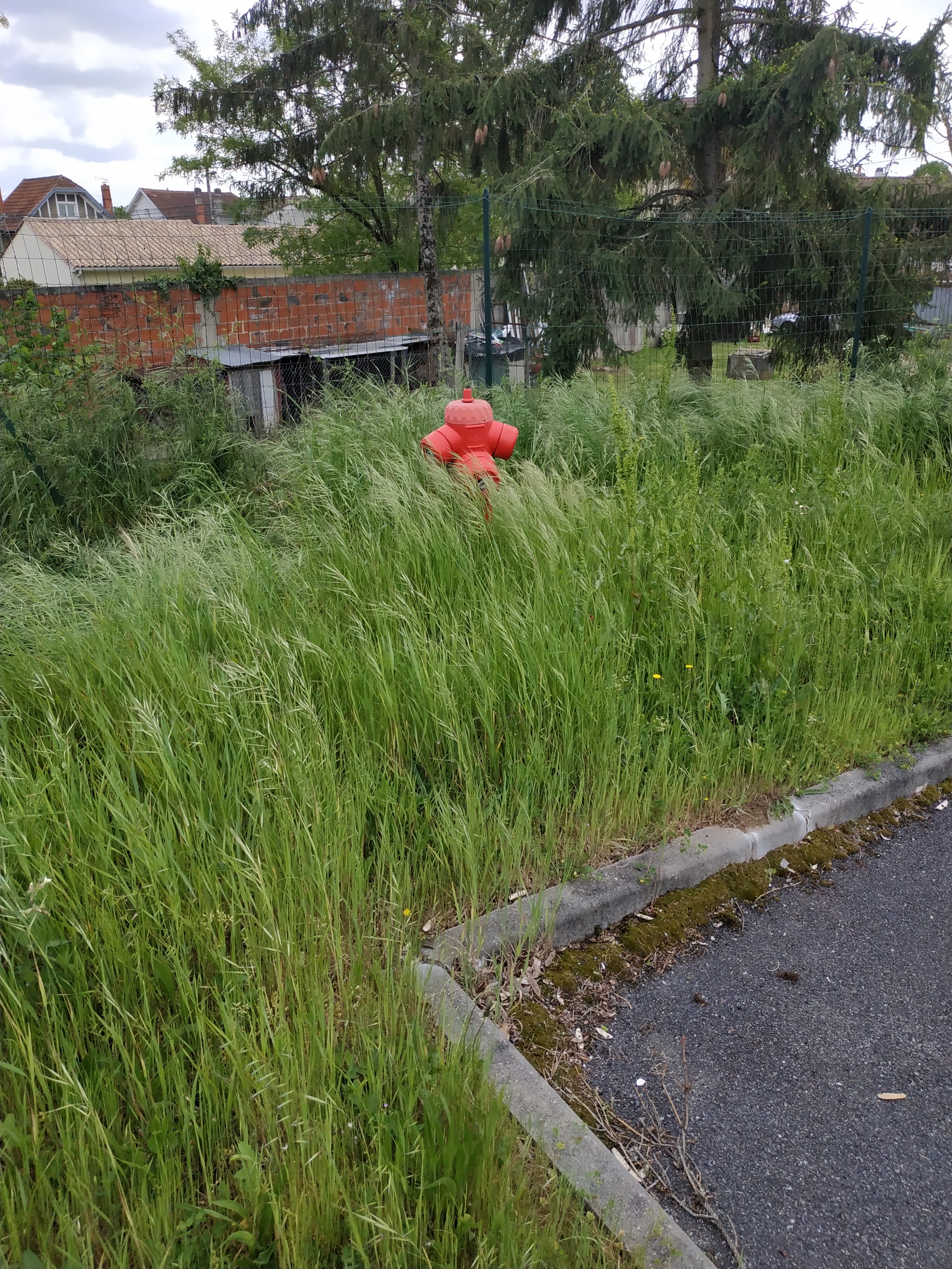 Photo n° 1 de l'avis de Flora.d fait le 26/04/2019 à 10:49