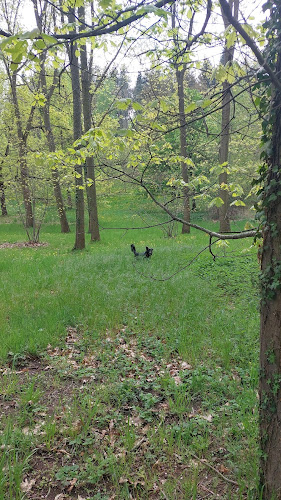 Parc du Chasseur à Saint-Genest-Lerpt