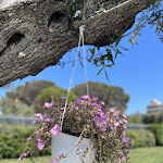 Photo n°3 de l'avis de Valentina.i fait le 09/08/2022 à 12:08 sur le  Salapia Salis Resort à Margherita di Savoia