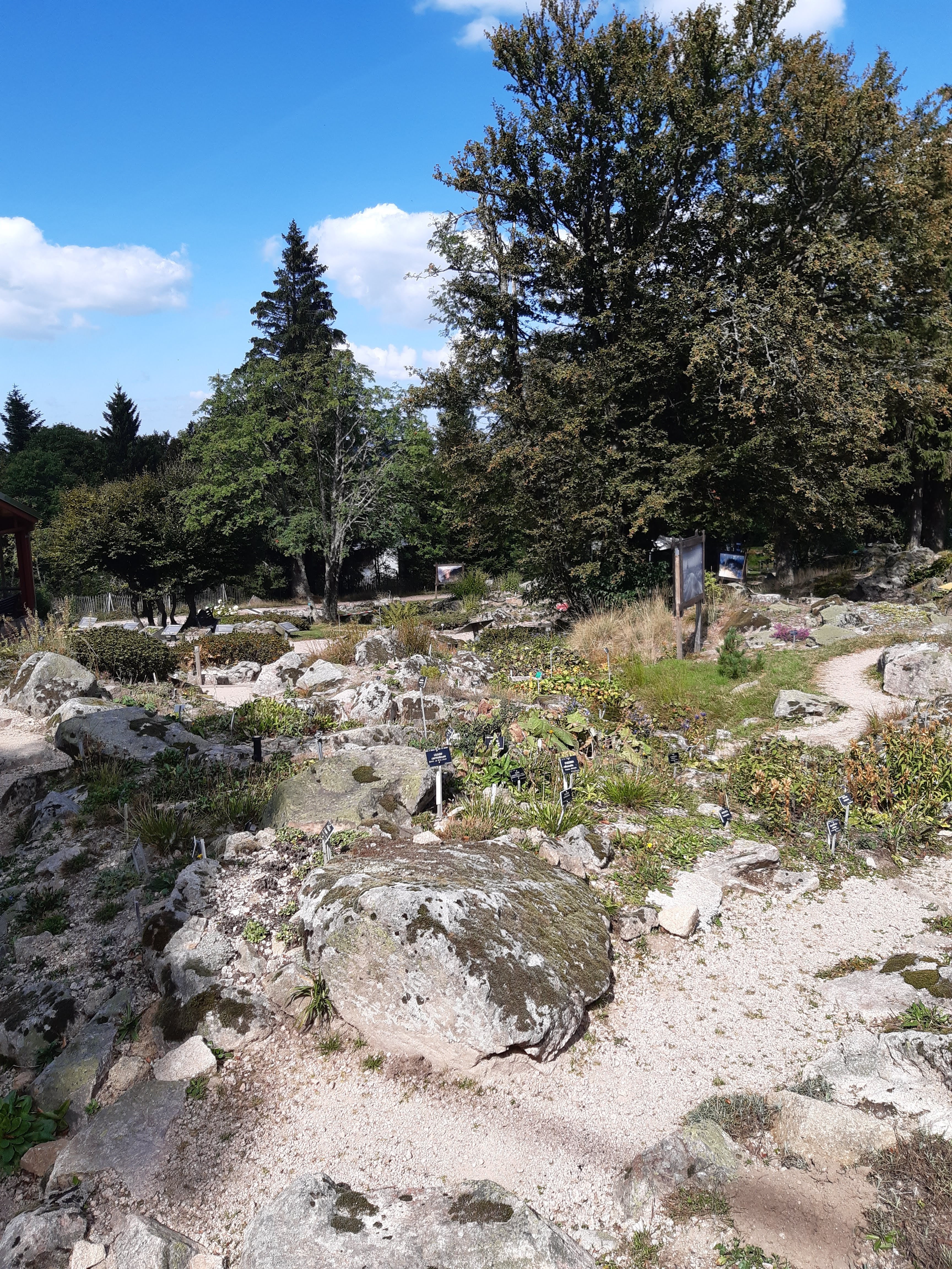 Photo n° 12 de l'avis de Patrice.a fait le 09/09/2023 à 15:15