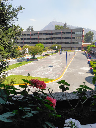 Colegio 'Las Rosas de Mexico'