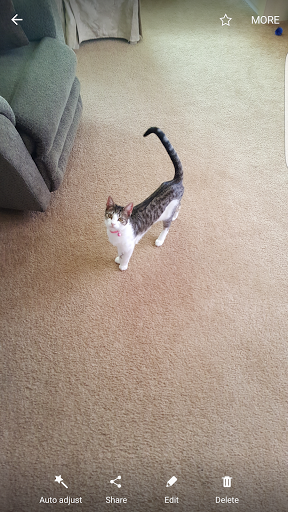 Pet Supply Store «PetSmart», reviews and photos, 156 Old Little Britain Rd, Newburgh, NY 12550, USA