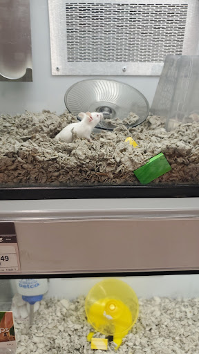 Pet Supply Store «Petco Animal Supplies», reviews and photos, 2072 Sycamore Rd, DeKalb, IL 60115, USA