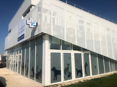 Clinique Vétérinaire St Cyr -VetLoire à Saint-Cyr-sur-Loire