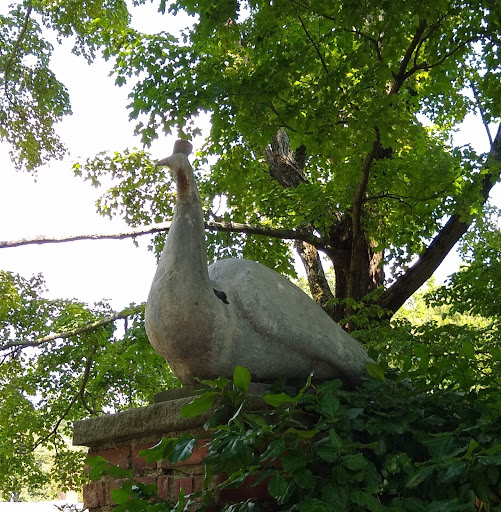 Garden «Wethersfield Farm», reviews and photos, 88 Wethersfield Way, Amenia, NY 12501, USA