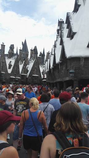 Roller Coaster «Dragon Challenge», reviews and photos, 6000 Universal Blvd, Orlando, FL 32819, USA