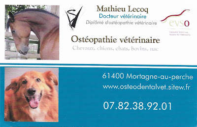 Mathieu Lecoq vétérinaire Osteodentalvet à Mortagne-au-Perche