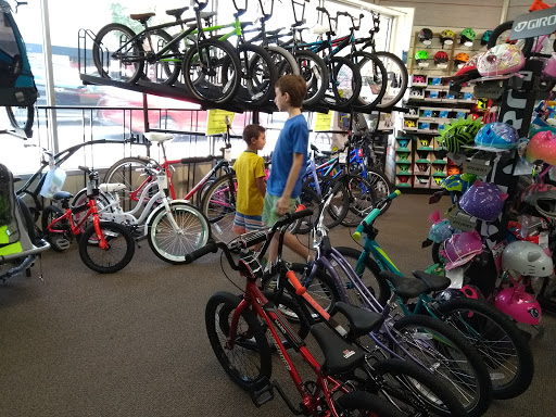 Bicycle Store «Orange Cycle», reviews and photos, 2204 Edgewater Dr, Orlando, FL 32804, USA
