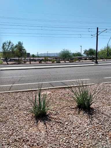 Non-Profit Organization «UMOM», reviews and photos