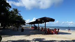 Praia de Pedras Altas'in fotoğrafı imkanlar alanı