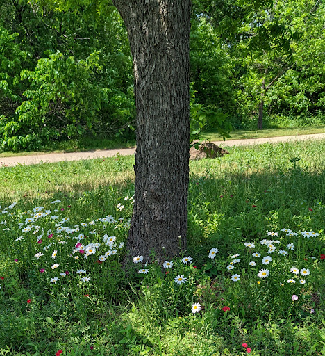 Park «Bob Eden Park», reviews and photos, 901 W Mid Cities Blvd, Euless, TX 76039, USA