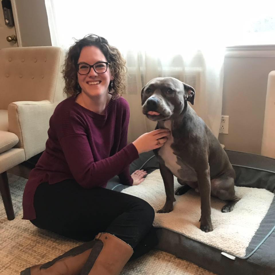 Kate's Canines,LLC: Dog training & Behavior Modification
