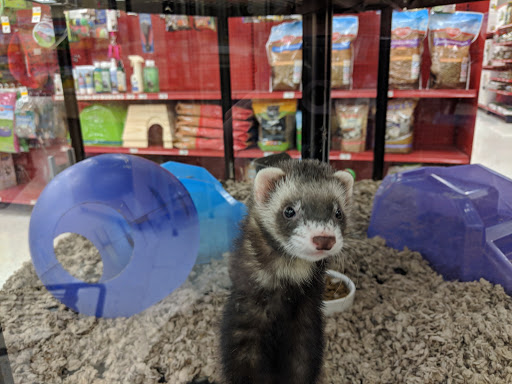Pet Supply Store «Petco Animal Supplies», reviews and photos, 16095 W Bluemound Rd, Brookfield, WI 53005, USA