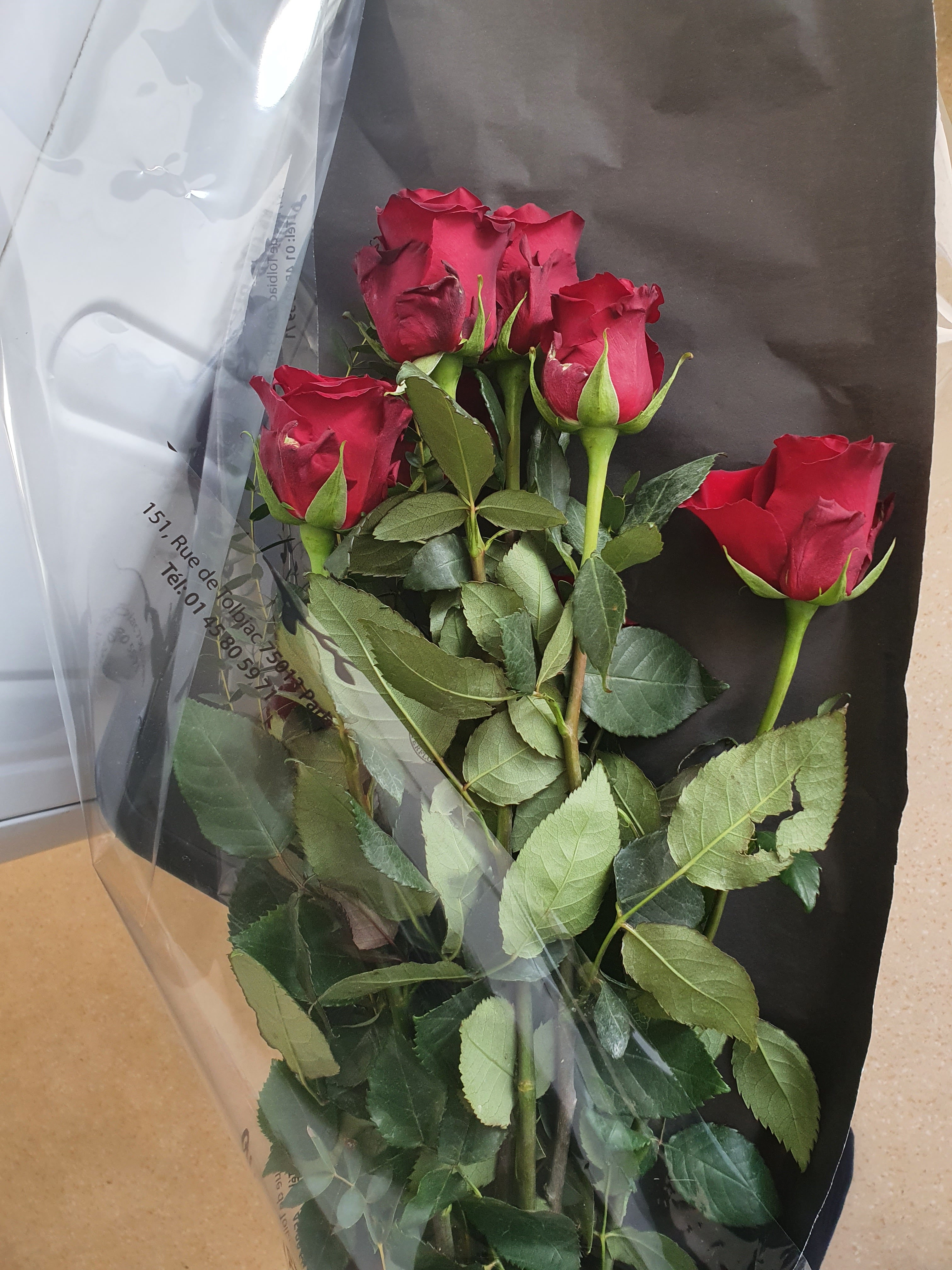 Photo n° 1 de l'avis de Xavier.e fait le 14/02/2022 à 16:00