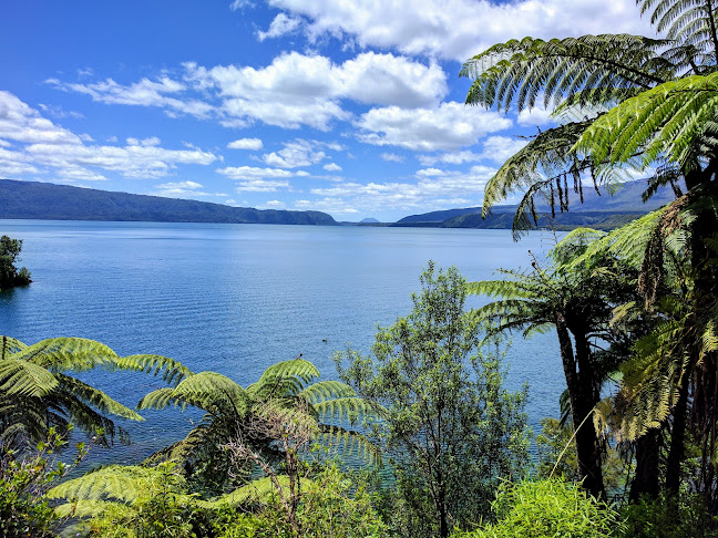 Comments and reviews of Tarawera Trail