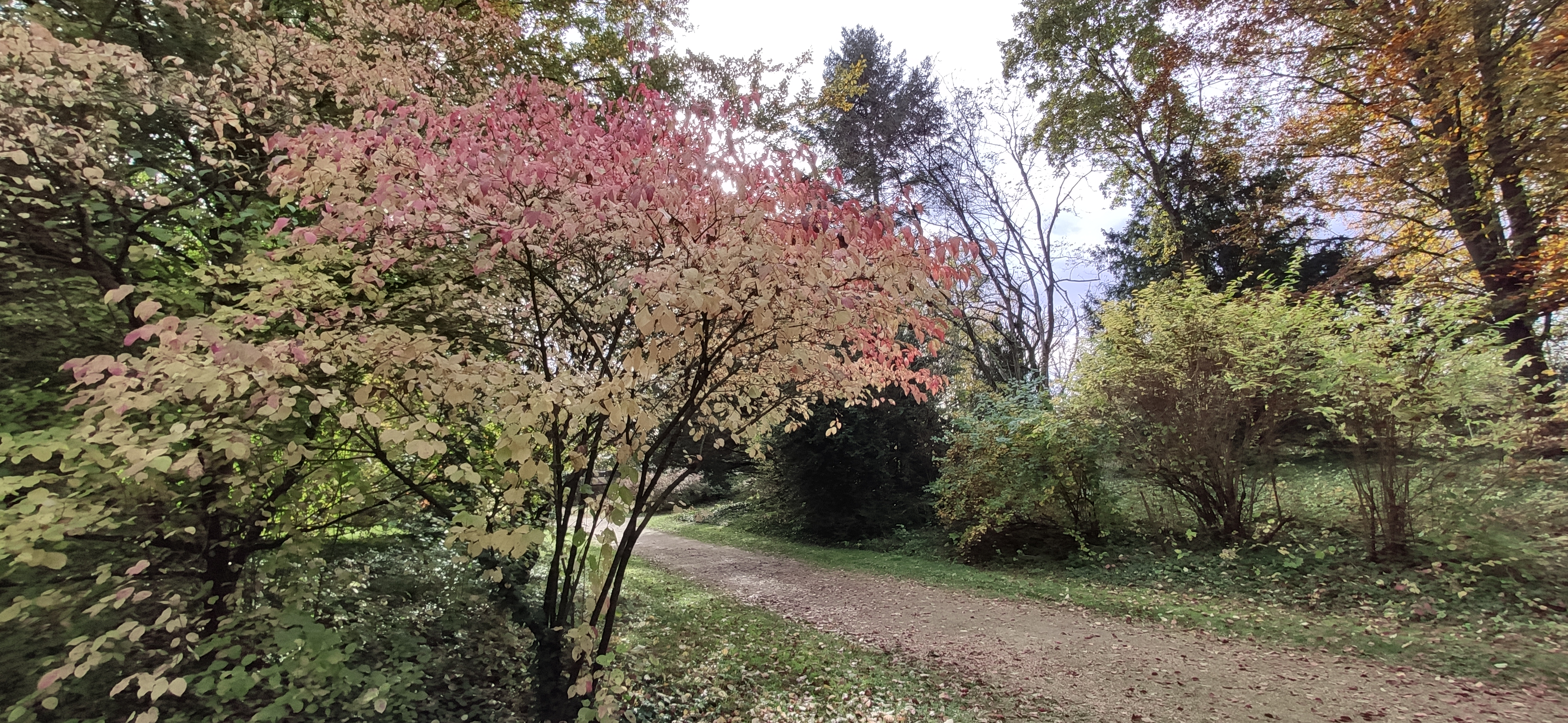 Photo n° 46 de l'avis de Stéphane.a fait le 01/11/2021 à 20:48