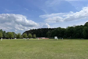Madeley Cricket Club image