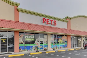 Discount Pets & Supplies image