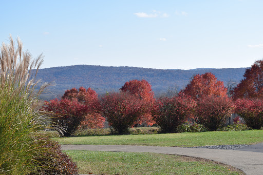 Catholic Church «World Apostolate of Fatima», reviews and photos, 674 Mountain View Rd E, Asbury, NJ 08802, USA