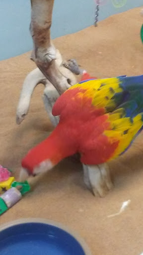 Pet Store «Claremont Pet & Aquarium Center», reviews and photos, 201 Washington St, Claremont, NH 03743, USA